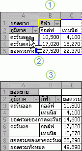 ตัวอย่างของการเปลี่ยนเค้าโครงของรายงาน PivotTable