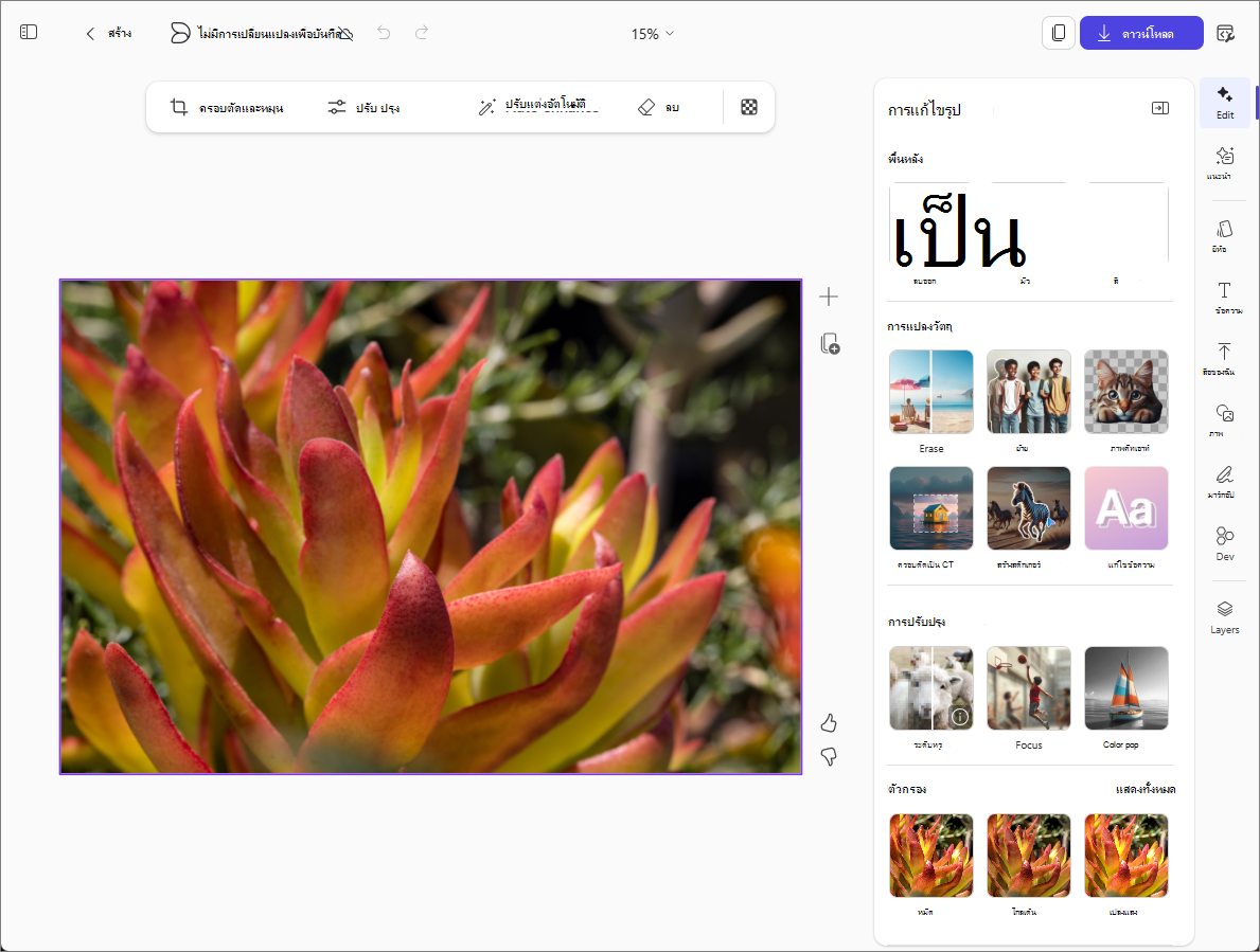 แก้ไขตัวเลือกรูปภาพใน Copilot Create