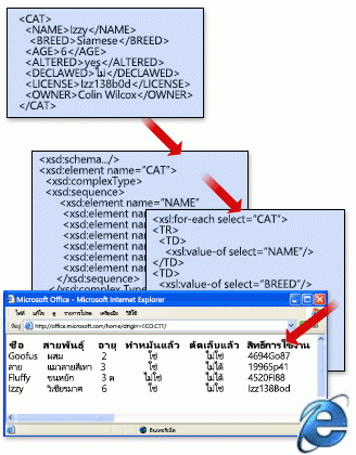 โครงสร้างแฟ้ม XML พื้นฐานที่มี Schema และการแปลง