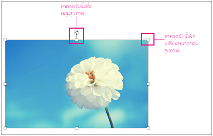 รูปภาพที่มีจุดจับปรับขนาดที่เน้น