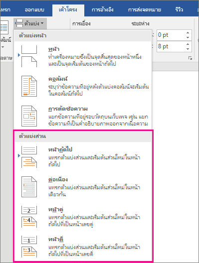 ชนิดของตัวแบ่งส่วนถูกเน้นบนแท็บ เค้าโครง