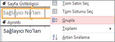 Gruplandırılmış bir rapor oluşturmak için Grupla seçeneğini belirtme