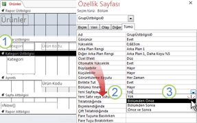 gruplandırılmış rapora sayfa sonu ekleme