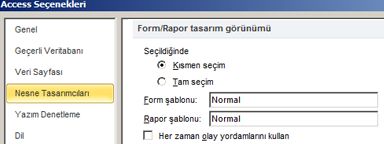 form ve rapor tasarımcısı ayarları seçeneklerini gösterir