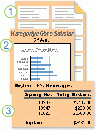 Biçimlendirilmiş veya hesaplanmış verileri gösteren raporlar