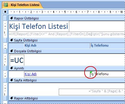 Yanlış yazılmış tanımlayıcı içeren bir metin kutusunun bulunduğu rapor