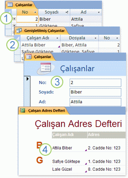 Sorgu, form ve raporda kullanılan tablolardan veriler