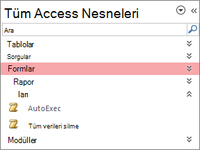 Erişim Gezinti Bölmesi
