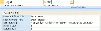 Arama alanının veri kaynağı olarak değer listesini gösteren ekran görüntüsü.