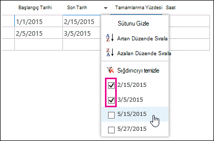Birden çok değerin seçili olduğu bir veri sayfasında filtre açılan menüsü.
