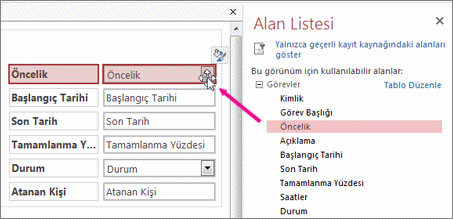 Alan listesinden görünüme alan sürükleme.