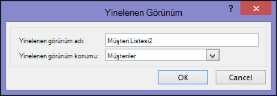 Duplicate view dialog showing name of duplicate box and location for duplicate box.