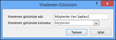 Duplicate view dialog showing name of duplicate box and location for duplicate box.