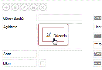Access uygulamasındaki bir görünümde Düzenleme düğmesi.