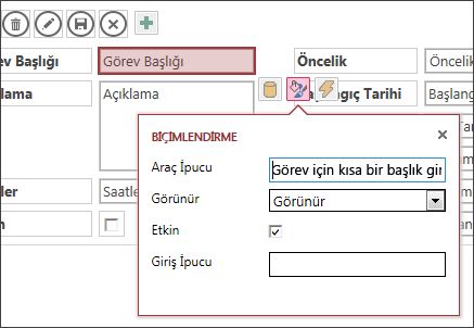 Bir metin kutusun ait Biçimlendirme ayarlarını gösteren Düzenleme modunda bir görünüm.