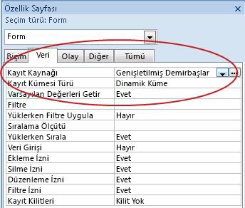 Veri sekmesinde Kayıt Kaynağı özelliği.
