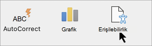 Uygulama tercihlerindeki erişilebilirlik ayarları bölümü