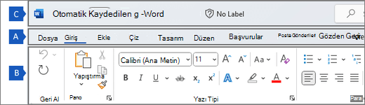 Şeridin ana bölgelerini gösteren Word şerit.
