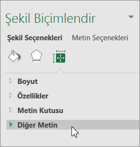 Nesne bölmesinde Alternatif Metin'e tıklayın