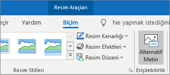 Windows için Outlook'ta şeritteki Alternatif Metin düğmesi.