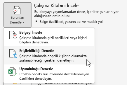 Sorunları denetle & erişilebilirliği denetle menü öğesi