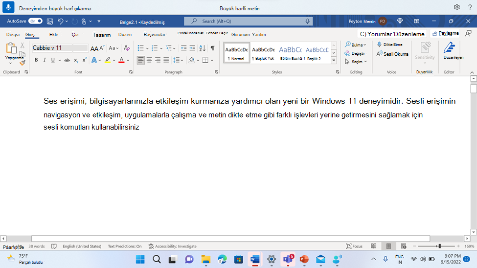 WordWord belgede sesli erişim komutunu gösteren belge Büyük harfle başlat.