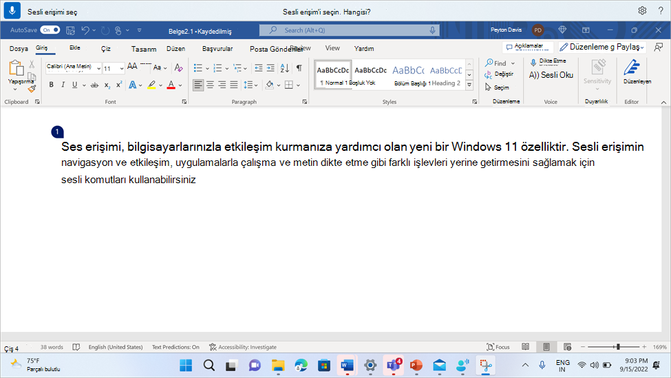 WordWord belgesinde sesli erişim gösteriliyor ve kullanıcıdan birçok oluşumdan birini seçmesini istiyor.