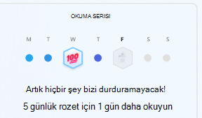 Okuma Çizgisi
