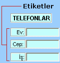 ActiveX etiket denetimi örneği