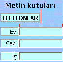 ActiveX metin kutusu denetimi örneği