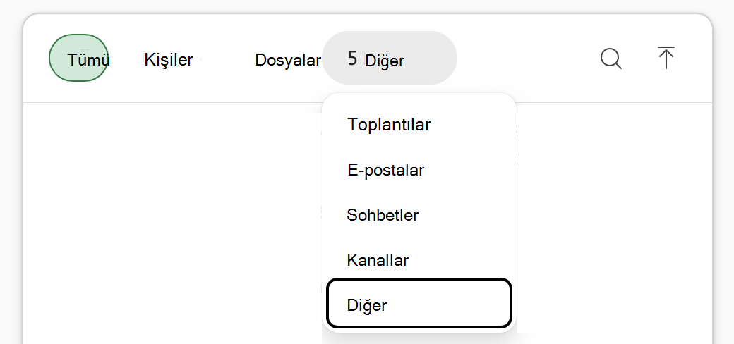 Excel'de Copilot 'İş içeriği ekle' menüsünün 'Diğer' ve ardından 'Diğer' vurgulanmış ekran görüntüsü.