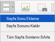 Kesmeler menüsündeki seçenekler