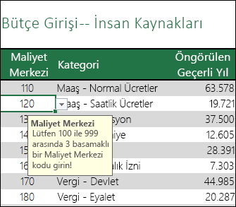 Kullanıcılar hücre seçtiğinde bir girdi iletisi görüntülenir