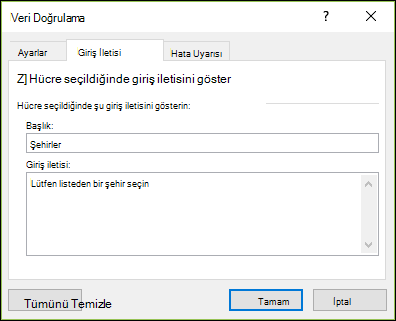 Veri Doğrulama Girdi İletisi seçeneği