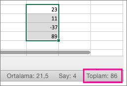 Sayfanın en altındaki toplamı görmek için bir sayı sütunu seçmeyi gösteren ekran görüntüsü.