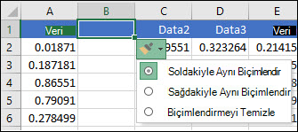 Satır veya sütun ekledikten sonra görüntülenen Ekleme Seçenekleri düğmesinin resmi.