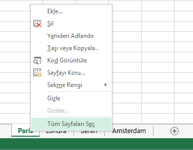 Sağ tıklama menüsünde Tüm Sayfaları Seç seçeneği belirlenmiş.