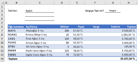 Özel işlevi olmayan örnek sipariş formu