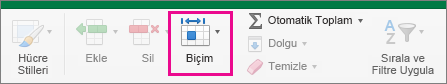 Giriş sekmesinde Biçim vurgulanır