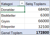 Ana Hat veya Sekme biçiminde PivotTable