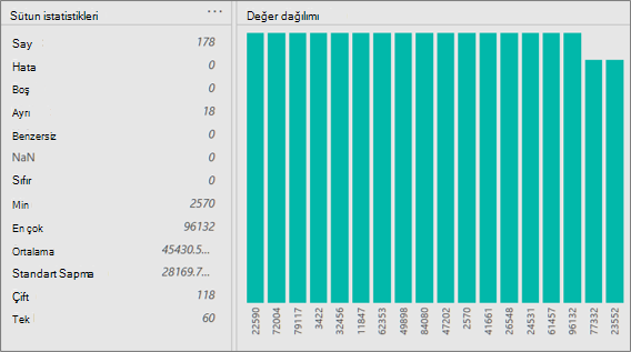 Sütun istatistikleri ve Değer dağılımı görünümleri