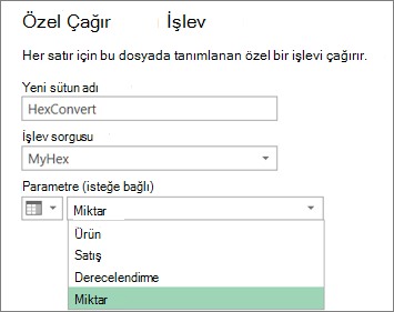 Özel İşlevi Çağır iletişim kutusu