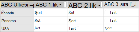 Toplama olmadan özetleme sonrası veri örneği