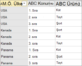 Toplama olmadan özetlemeden önceki veri örneği