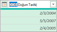 Sütun başlığını yeniden adlandırma