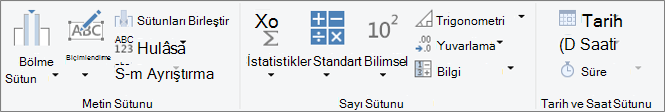 Sütun Ekle şerit sekmesindeki veri türü grupları