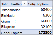 Satırlar alanında Değer alanı bulunan, varsayılan Sıkıştırılmış biçimde bir PivotTable