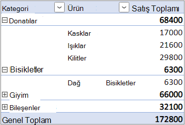 İç içe Satır alanı ayrı bir sütunda bulunan Ayrı Sütun Düzeni formu