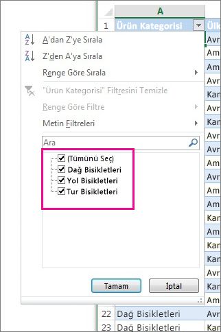 Bir listedeki öğeleri seçerek filtre uygulama