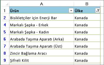 Filtre uygulanmış